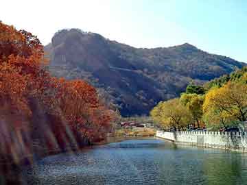 天天彩好彩天天免费，官场沉浮小说